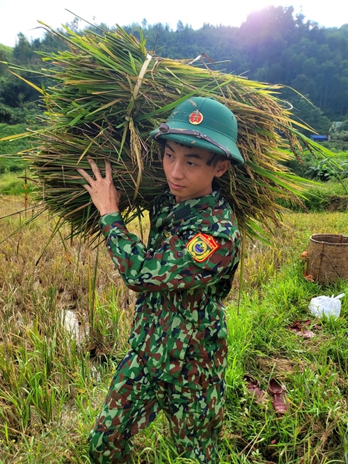 Troops help locals harvest rice after flood