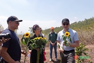 Sunflower wish (Part 1)