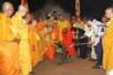 Sapling from world's longest-living Bodhi tree planted in Bai Dinh pagoda