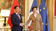 Vietnam, France wish to elevate ties to greater height