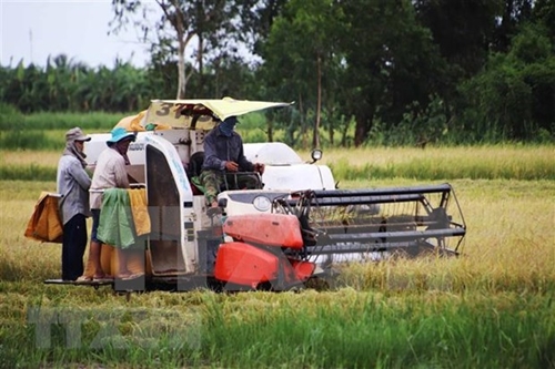 Development strategy of rural occupations and economic development approved