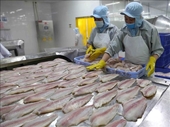 Good news for Vietnam’s tra fish exports to U.S.