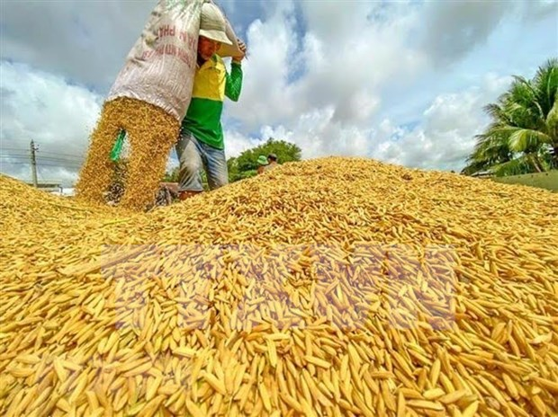 Blocrise Rice ASEAN member nations urged to prioritize intra-bloc rice exports
