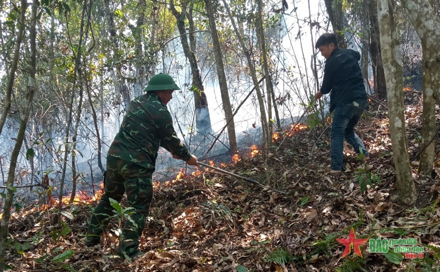 Troops put out forest fire in Dien Bien