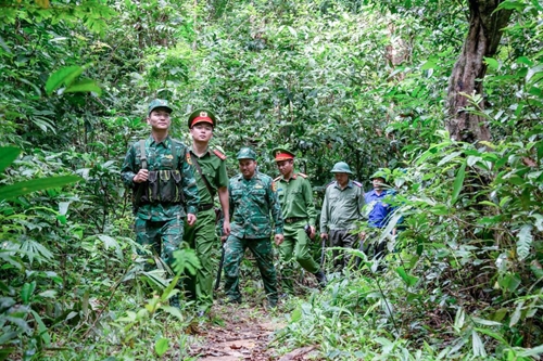 Border affairs completed successfully in first half of 2024