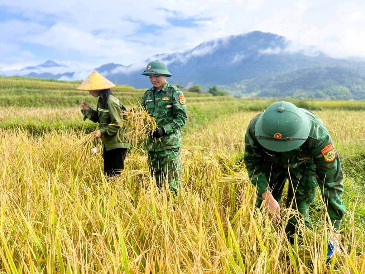 Border guards multiply good models to boost development in border areas