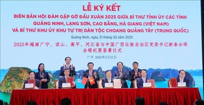 Locality-to-locality cooperation drives Vietnam - China ties: Official