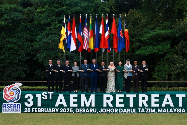 Vietnam makes active contribution to AEMR-31