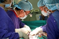 Vietnam records significant advances in organ transplantation