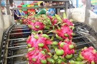 Overseas Vietnamese help Vietnamese products go global