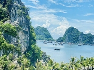 Holiday makers seek for green, cultural tours in this summer