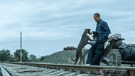 Cannes-winning film to compete at Da Nang Asian Film Festival 2025