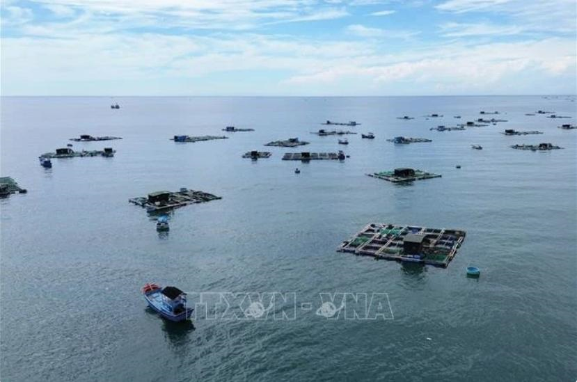 Foreign experts give advice for effective, sustainable blue economy development