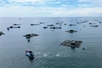 Foreign experts give advice for effective, sustainable blue economy development