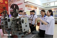 Wide doors opened for overseas Vietnamese with groundbreaking legal reforms
