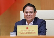 Vietnamese PM to attend expanded BRICS Summit in Brazil
