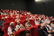 Documentary on Vietnamese craft villages draws French audiences