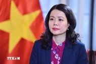 Vietnam to highlight development aspirations at expanded BRICS summit: Official