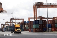 Vietnam, Brazil boast huge potential for trade cooperation
