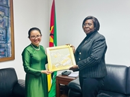 Mozambican PM pledges to promote comprehensive cooperation with Vietnam