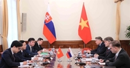 Vietnam, Slovakia hold political consultation