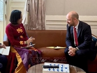 Vietnam eyes deeper comprehensive strategic partnership with France