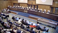 Vietnam contributes to international court