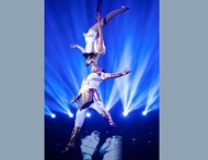 Vietnamese Circus triumphs at two international festivals