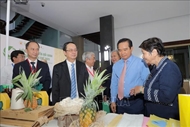 HCM City exhibition showcases 100 green models, products