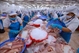 Vietnam’s aquatic output reaches 5 5 million tons amid push for sustainability