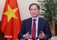 Vietnam seeks to deepen ties with RoK: Foreign Minister