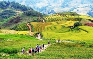Sa Pa aims to become model for green and smart tourism