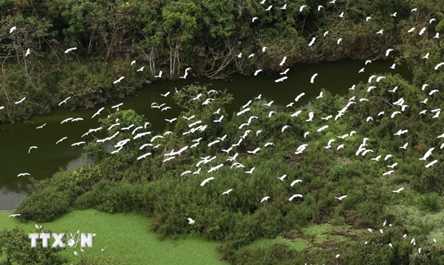 Thung Nham Bird Park sets example in bird conservation