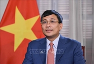 Cultural diplomacy reinforces Vietnam