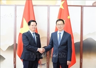 Deputy PM calls for high priority given to Vietnam - China railway cooperation