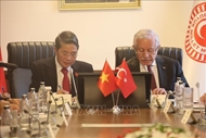 Vietnam, Türkiye foster friendship, multi-faceted cooperation