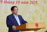 PM chairs national conference on drug prevention, control program to 2030