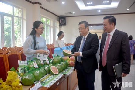 Vietnamese pomelos officially enter Australian market