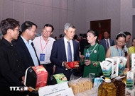 Vietnam-Cambodia business forum 2025 held in Ho Chi Minh City