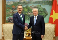 Permanent Deputy PM suggests stronger Vietnam - Türkiye defense industry cooperation