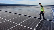 Vietnam navigates regulatory hurdles in renewable energy push