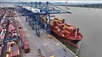 Joint statement on U.S. - Vietnam trade framework helps build trust for bilateral trade: expert