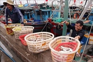 Hai Phong leads Vietnam’s fight against IUU fishing