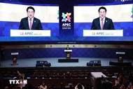 President pushes cooperation for sustainable development at APEC 2025