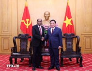 Vietnam boosts policy research, training cooperation with Singapore, Ireland