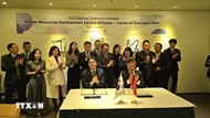 Vietnam, RoK promote cooperation in labour management, sustainable migration