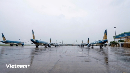 Vietnamese carriers cancel, delay flights due to looming typhoon