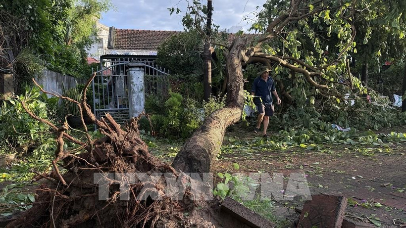 Dak Lak Typhoon Kalmaegi causes 170 billion VND in damage
