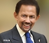 Sultan’s visit demonstrates Brunei’s high regard for Vietnam: Ambassador