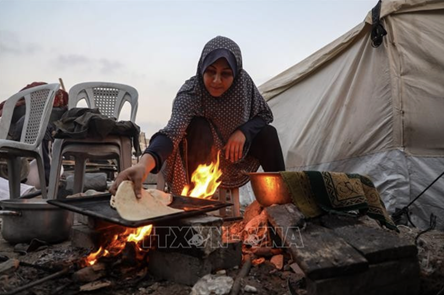 Vietnam reaffirms strong support, solidarity with Palestine